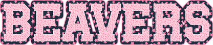 Varsity Stars Beavers Top