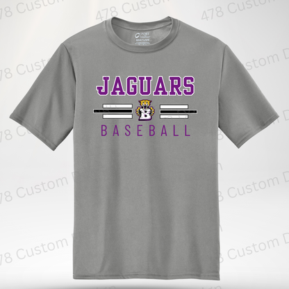 BMS Baseball Design 1