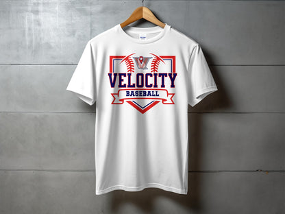 Velocity Baseball- Homeplate Design