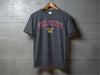 Velocity Fastpitch- Design 4- All Style and Colors