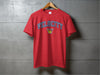 Velocity Fastpitch- Design 4- All Style and Colors