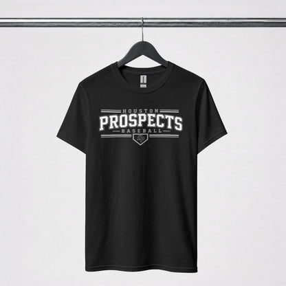 Houston Prospects- Design 2