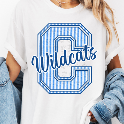 Custom Seersucker Alphabet Mascot Top — design example 1