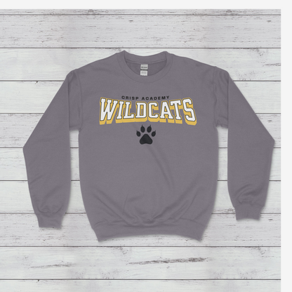 Crisp Academy Baseball Design 4