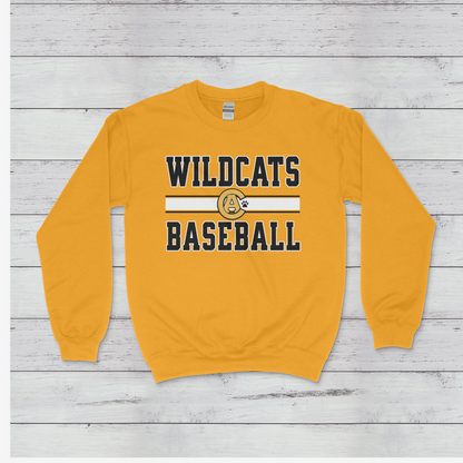 Crisp Academy Baseball Design 1