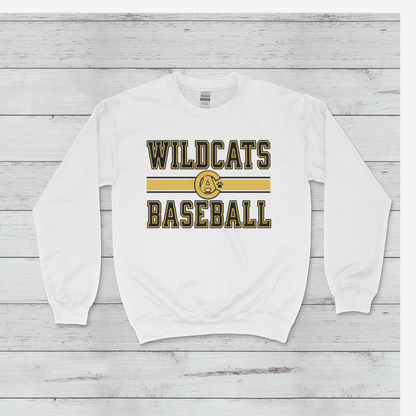 Crisp Academy Baseball Design 1