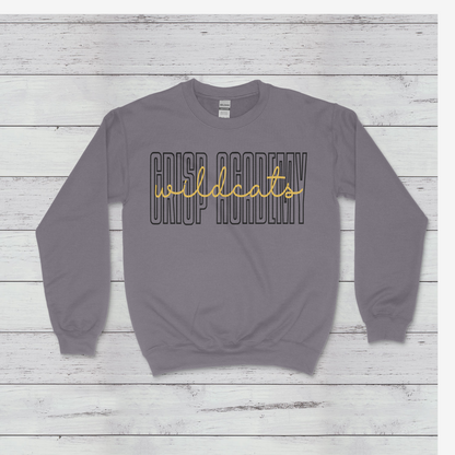 Crisp Academy Baseball Design 2