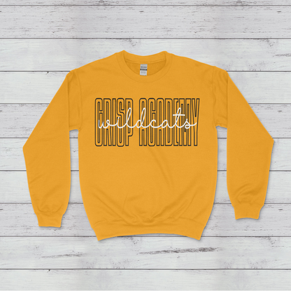 Crisp Academy Baseball Design 2