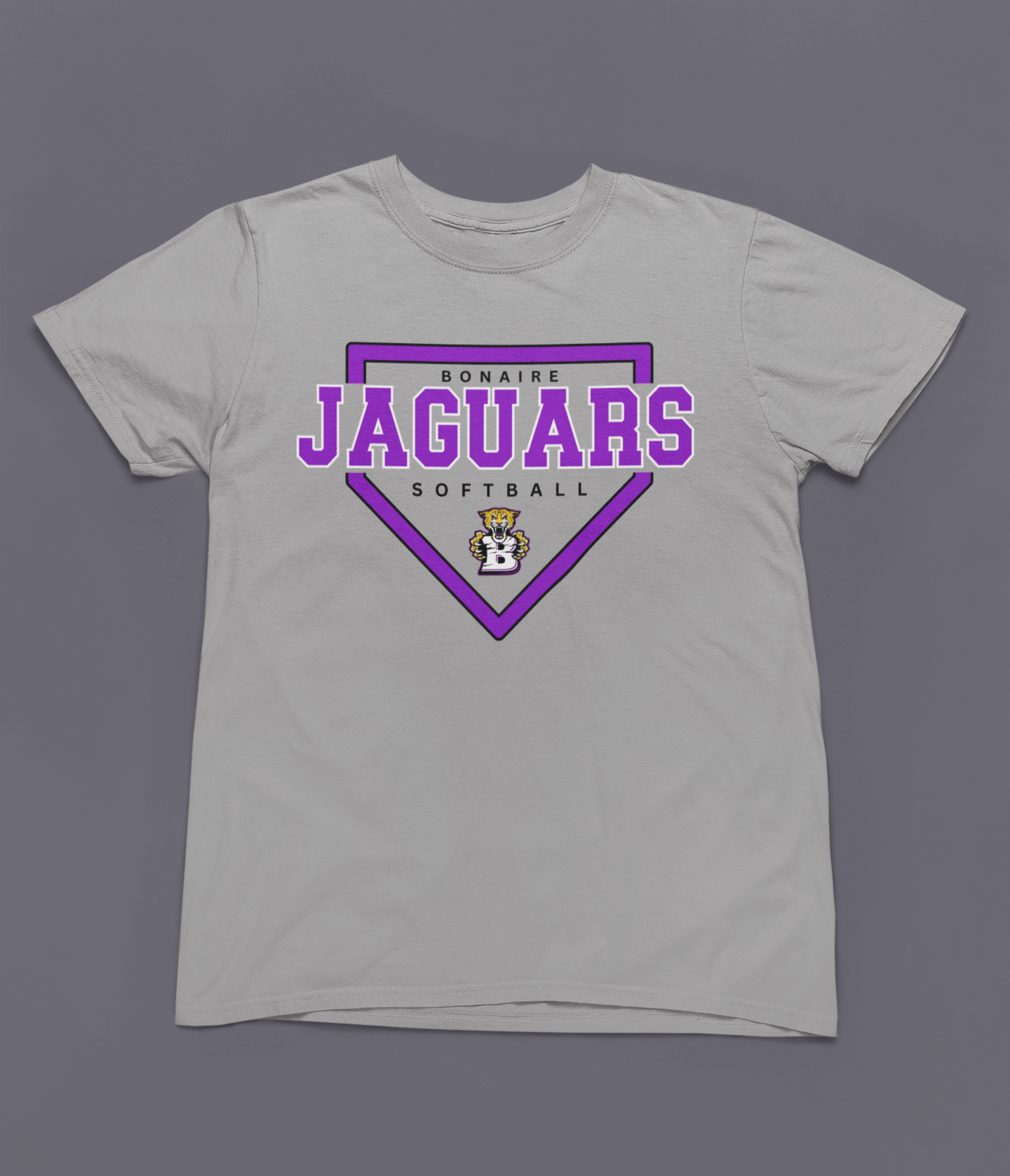 BMS- Design B- GRAY- Short/Long Sleeve or Dri-Fit Shirts