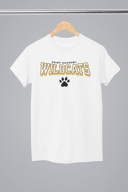 Crisp Academy Baseball Design 4