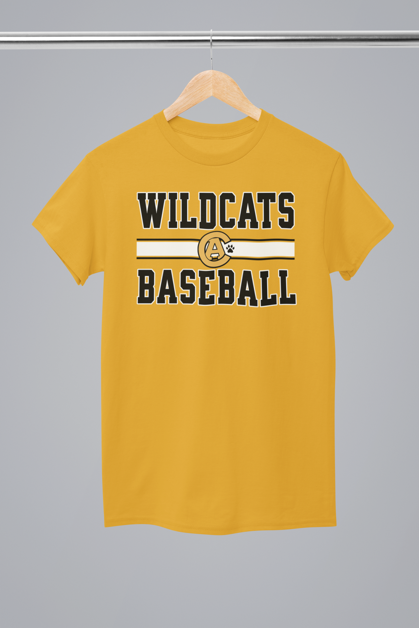 Crisp Academy Baseball Design 1