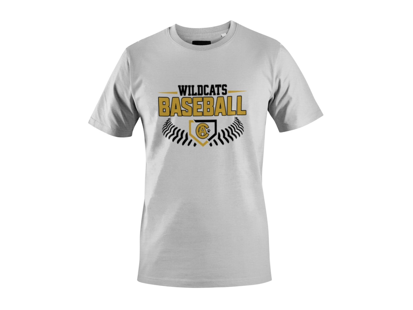 Crisp Academy Baseball Design 6