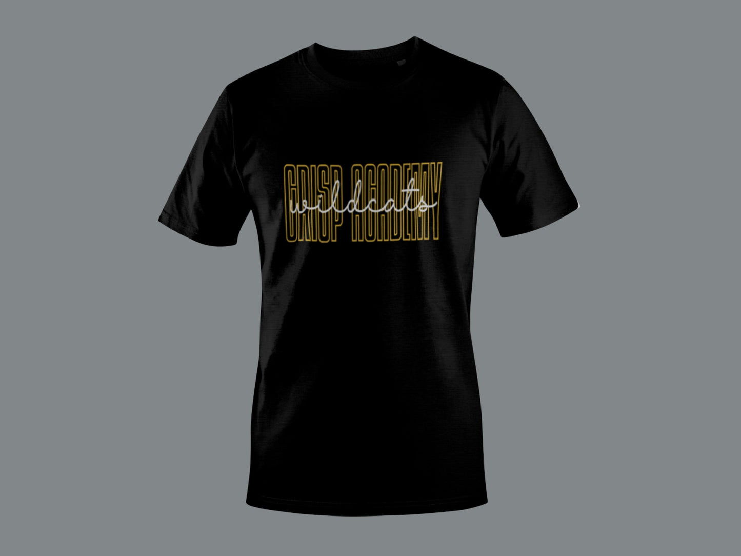 Crisp Academy Baseball Design 2