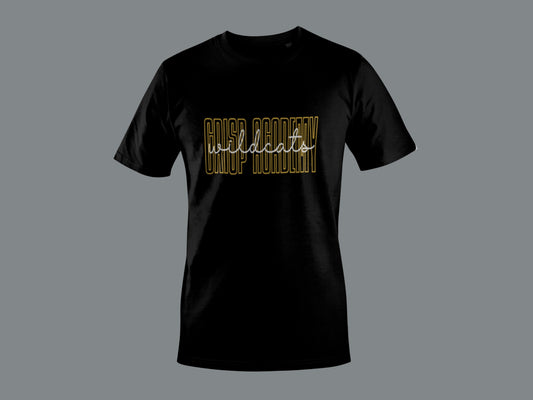 Crisp Academy Baseball Design 2