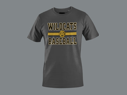 Crisp Academy Baseball Design 1