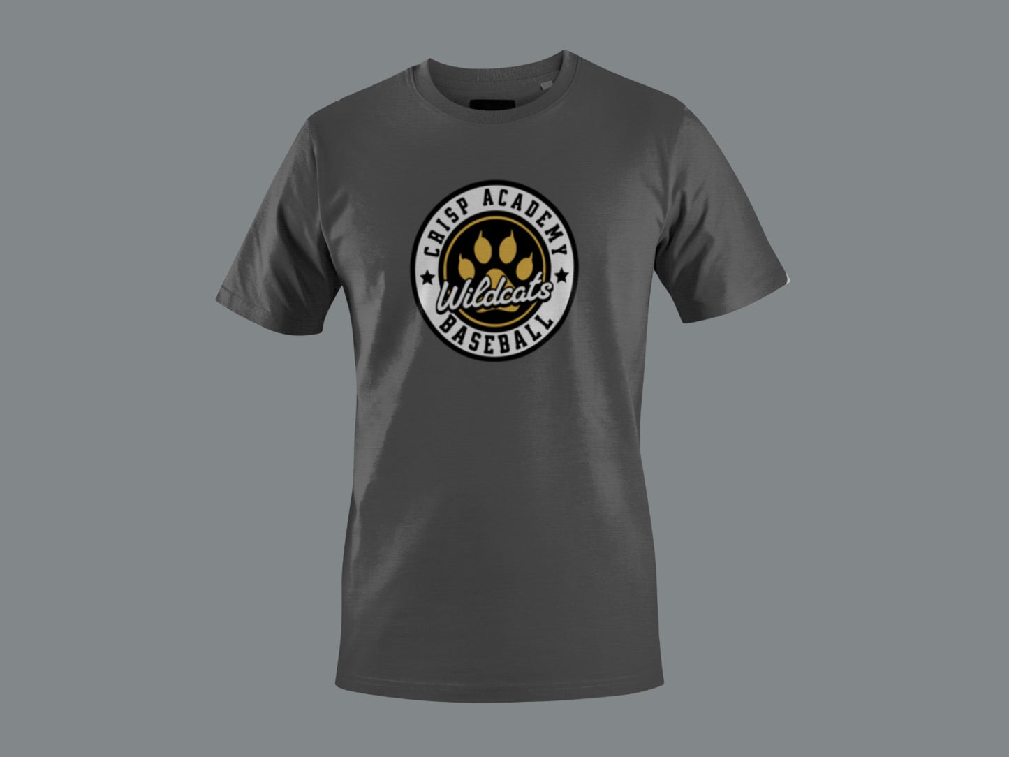 Crisp Academy Baseball Design 5