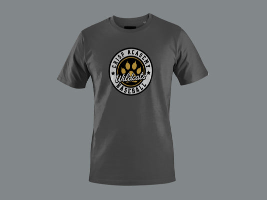 Crisp Academy Baseball Design 5