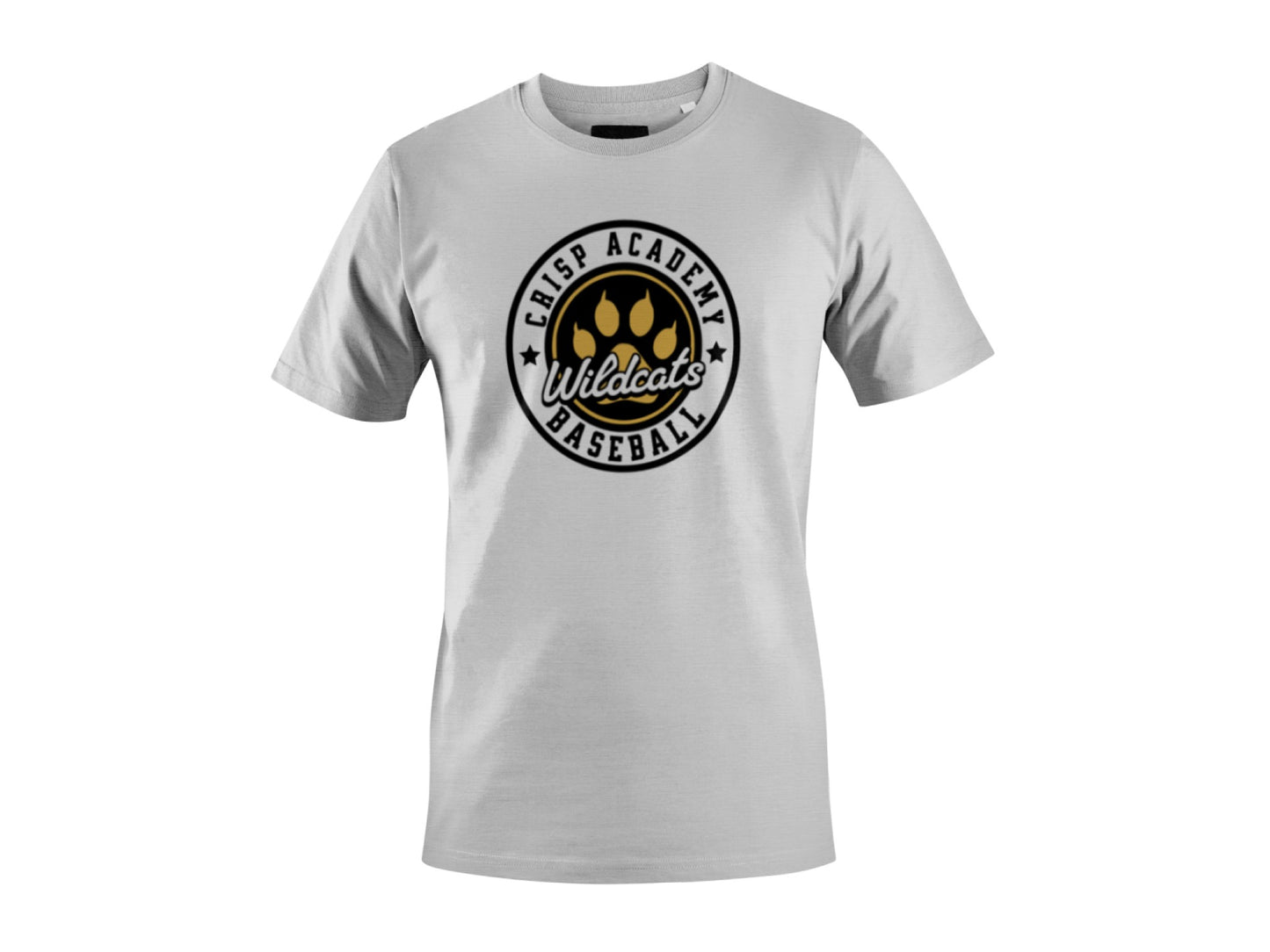 Crisp Academy Baseball Design 5