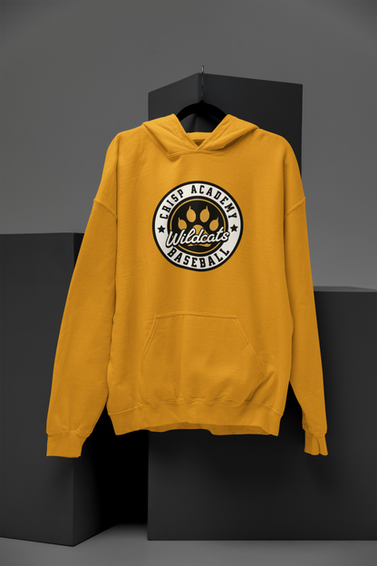 Crisp Academy Baseball Design 5