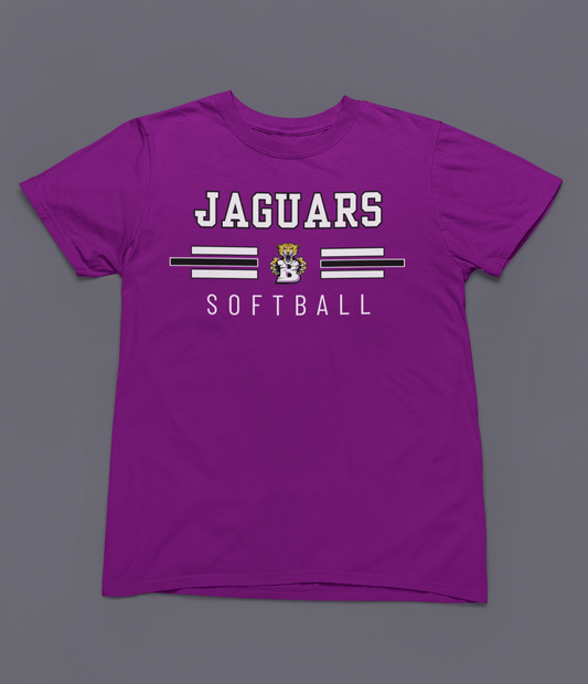 BMS- Design A- PURPLE - Short/Long Sleeve or Dri-Fit Shirts