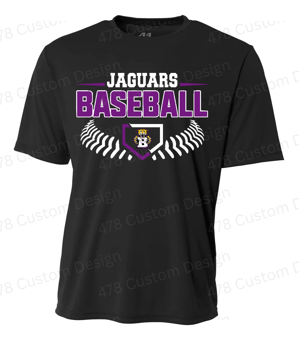 BMS Baseball Design 2