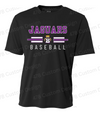 Bonaire Middle School Baseball Striped Baseball Logo