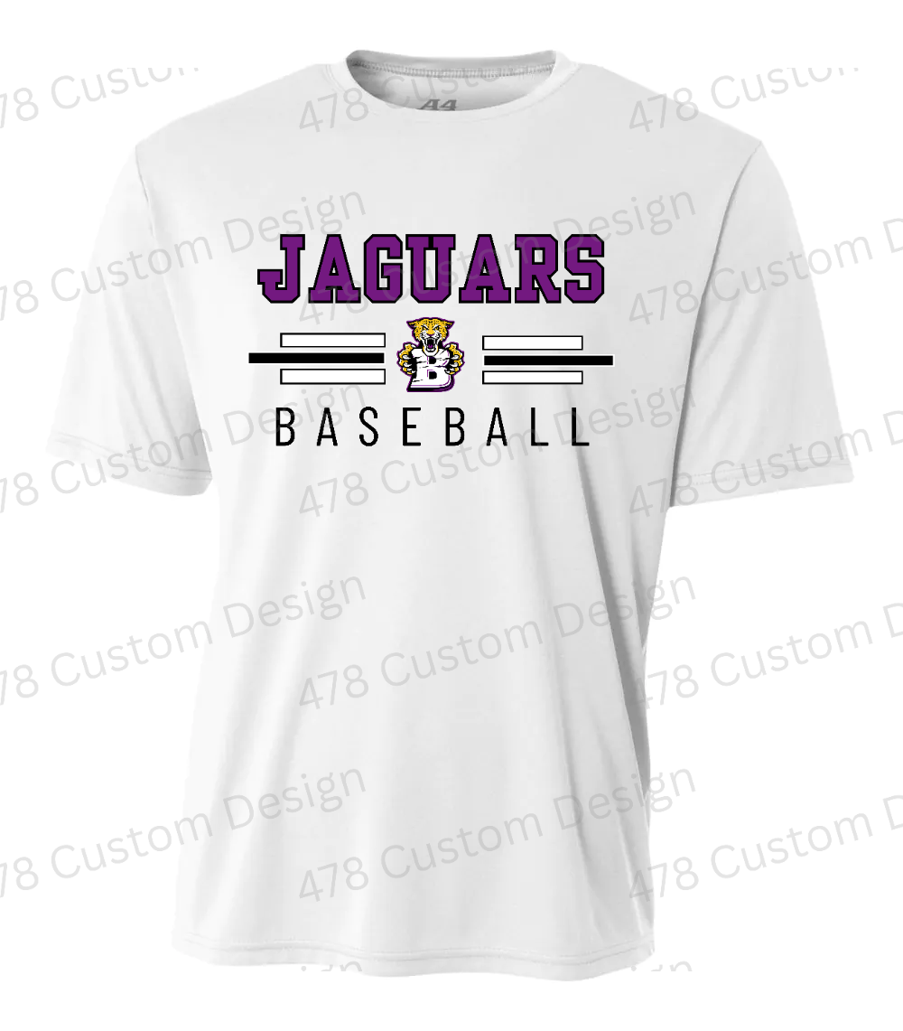 BMS Baseball Design 1