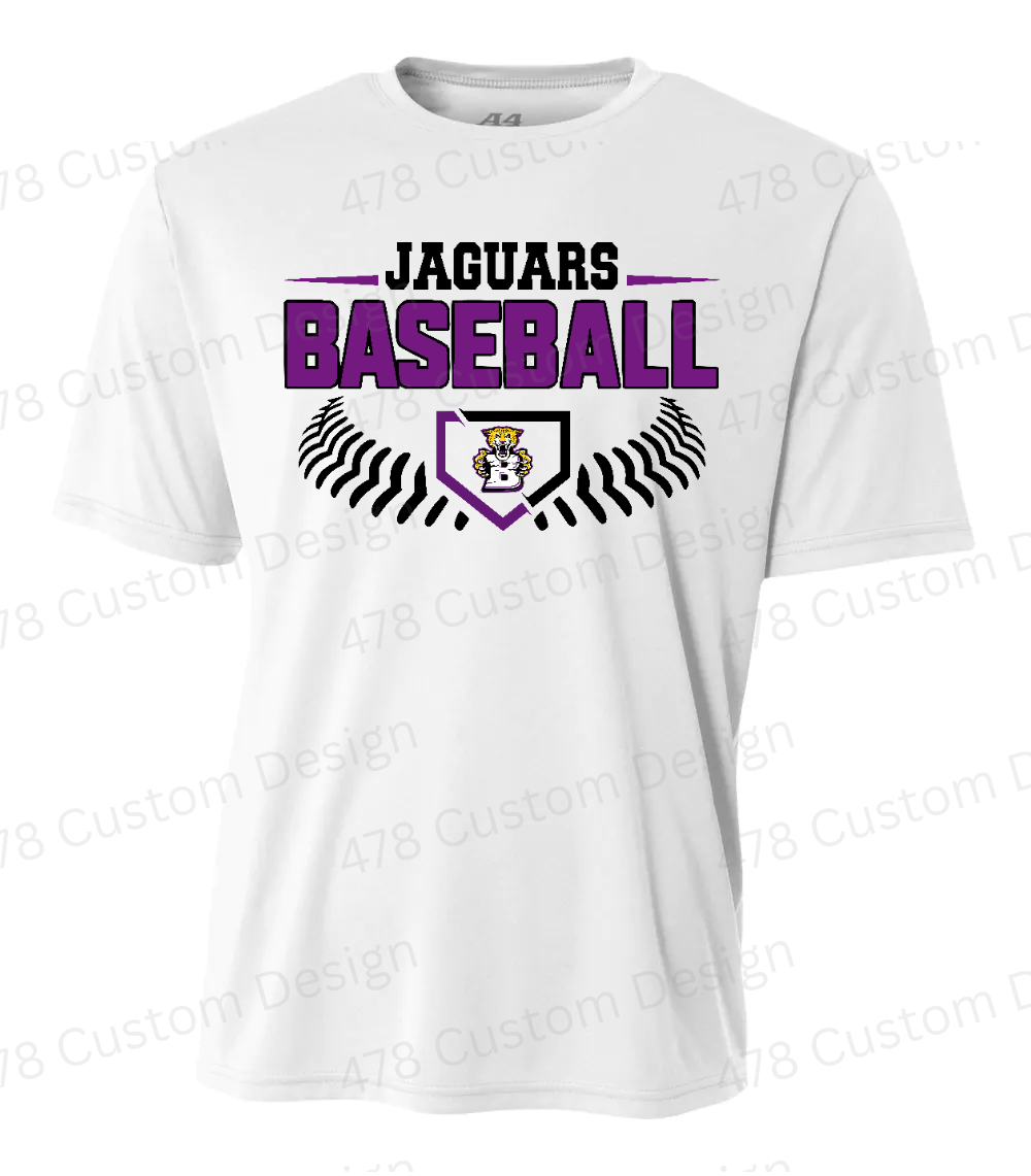 BMS Baseball Design 2